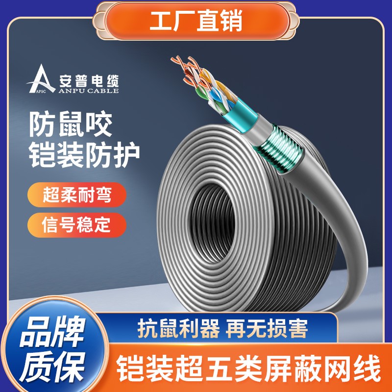 安普超五類(lèi)鎧裝網(wǎng)線(xiàn)防鼠咬鋼帶防曬凍室外抗老化可地埋鎧甲網(wǎng)絡(luò)線(xiàn)